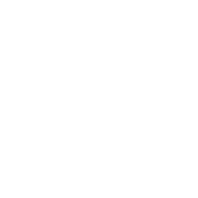 BIDF_logo_OudeGracht_wit.png